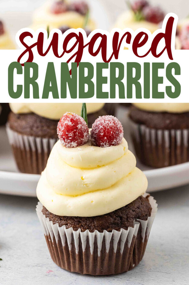 Sugared cranberries on cupcake.