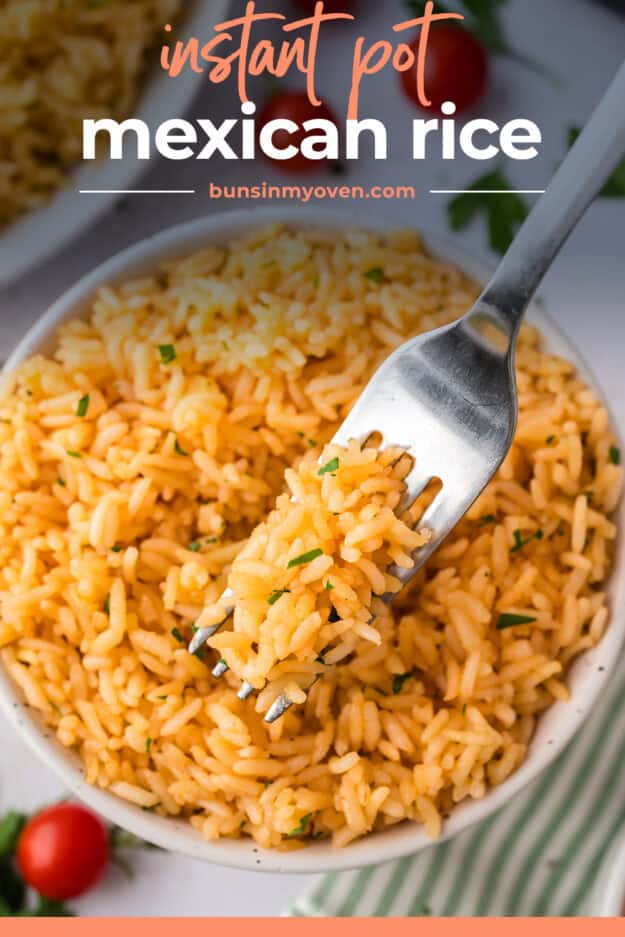 Mexican rice on fork.