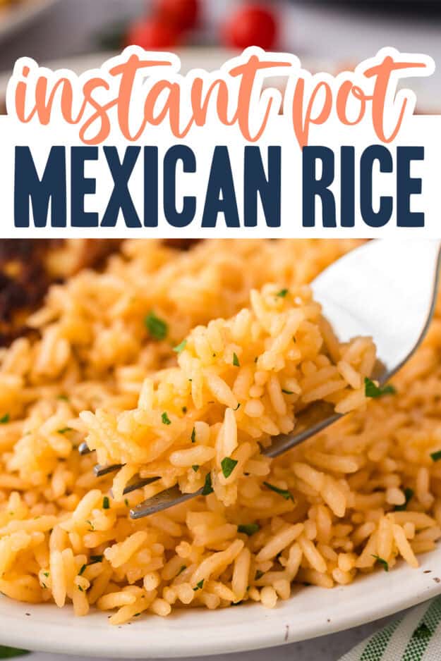 Plate full of mexican rice.