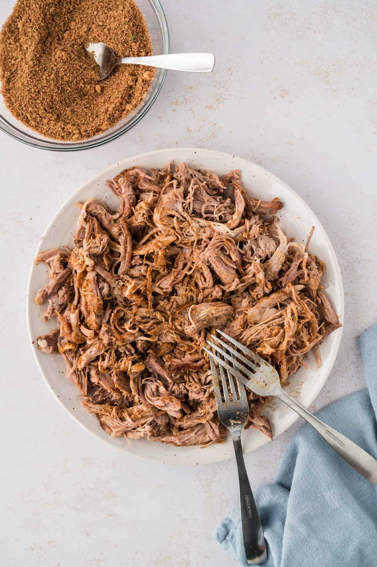 Pulled pork on plate.