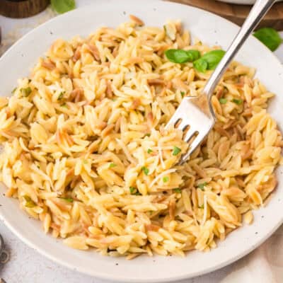 Plateful of cheesy parmesan orzo.